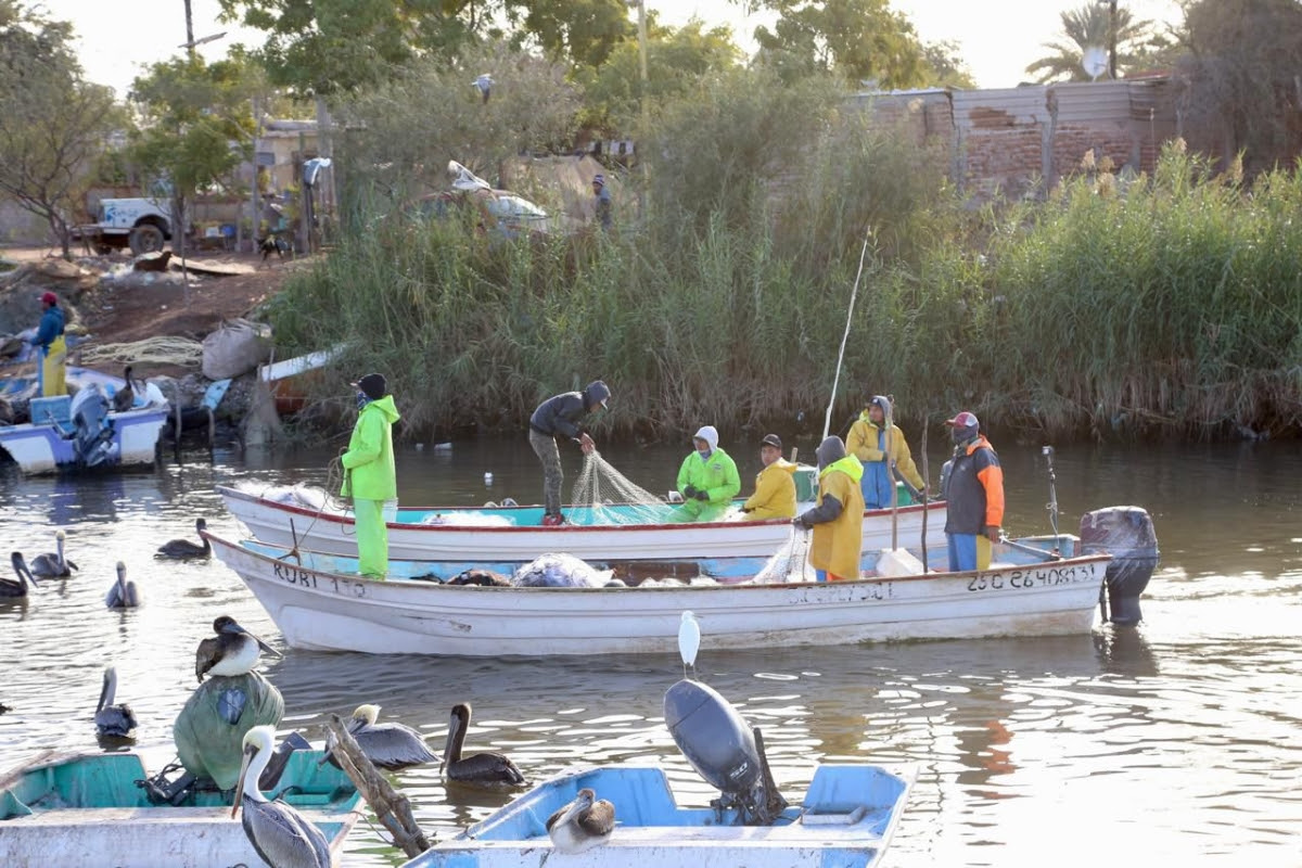 Gobernador Durazo posiciona a Sonora como líder nacional en producción pesquera